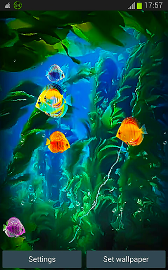Download Aquarien Live Wallpaper Aquarium 3D für Android kostenlos.