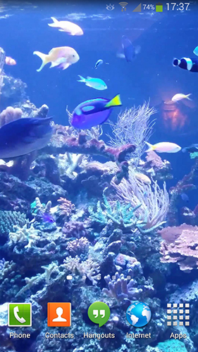 Kostenlos Live Wallpaper Aquarium HD 2 für Android Smartphones und Tablets downloaden.