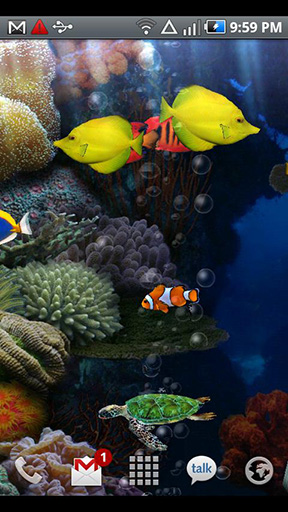 Download Live Wallpaper Aquarium für Android-Handy kostenlos.