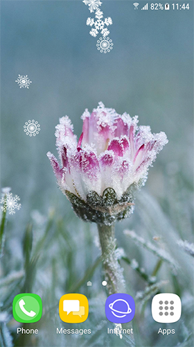 Android Hintergrundbilder Herbst- und Winterblumen  kostenlos auf den Desktop herunterladen. 