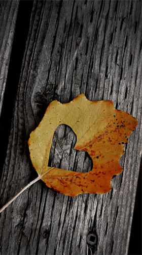 Android Hintergrundbilder Herbstliebe  kostenlos auf den Desktop herunterladen. 