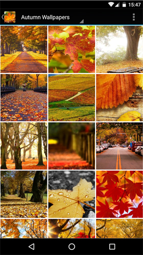Android Hintergrundbilder Herbst  kostenlos auf den Desktop herunterladen. 