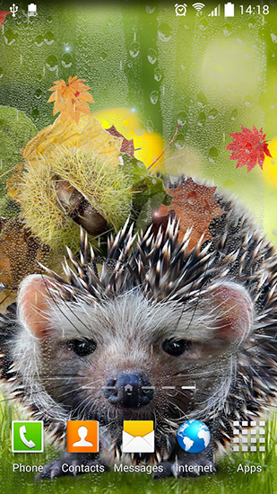 Download Tiere Live Wallpaper Herbst für Android kostenlos.