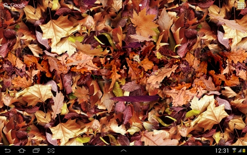 Download Live Wallpaper Herbstblätter 3D für Android-Handy kostenlos.
