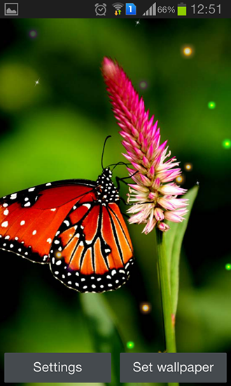 Download Live Wallpaper Bester Schmetterling für Android 2.3.7 kostenlos.
