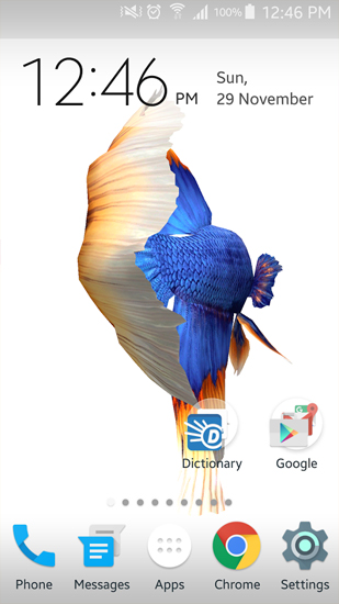 Android Hintergrundbilder Betta Fisch 3D  kostenlos auf den Desktop herunterladen. 