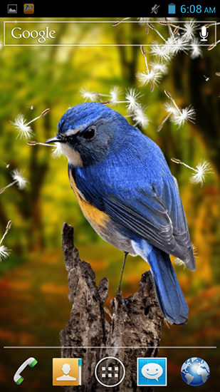 Download Tiere Live Wallpaper Vögel 3D für Android kostenlos.