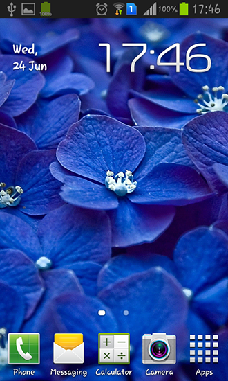 Kostenlos Live Wallpaper Blaue Blumen für Android Smartphones und Tablets downloaden.