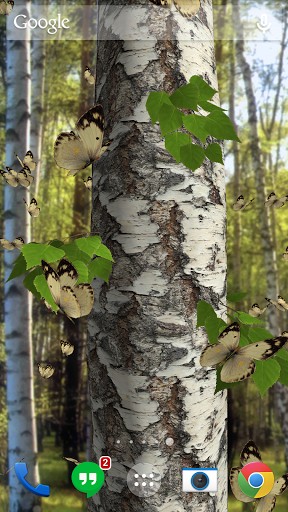 Download Live Wallpaper Schmetterlinge 3D für Android-Handy kostenlos.