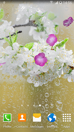 Android Hintergrundbilder Blühende Kirsche  kostenlos auf den Desktop herunterladen. 