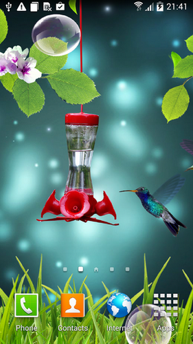 Download Tiere Live Wallpaper Kolibri für Android kostenlos.