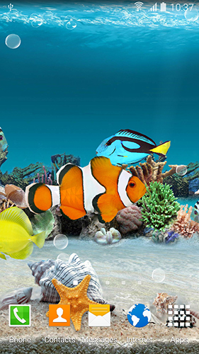 Download Aquarien Live Wallpaper Korallenfische für Android kostenlos.