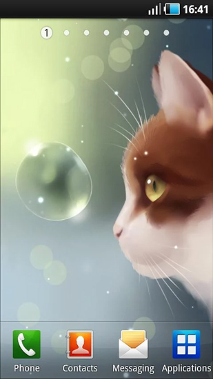 Android Hintergrundbilder Neugierige Katze  kostenlos auf den Desktop herunterladen. 