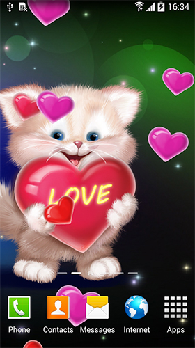 Android Hintergrundbilder Niedliche Katze  kostenlos auf den Desktop herunterladen. 