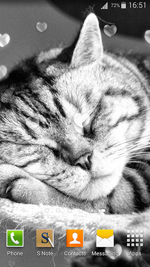 Download Interaktiv Live Wallpaper Süße Katzen für Android kostenlos.