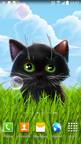 Download Tiere Live Wallpaper Sußes Kätzchen für Android kostenlos.