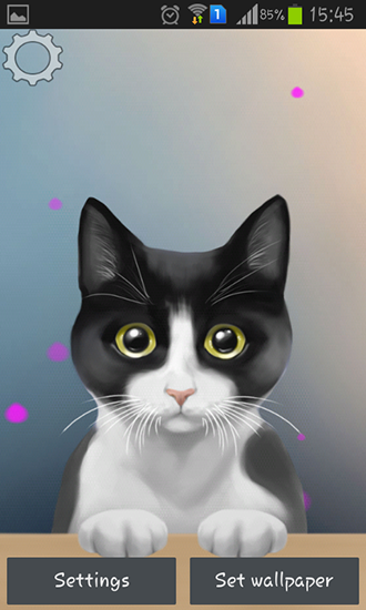 Download Tiere Live Wallpaper Niedliche Katze für Android kostenlos.