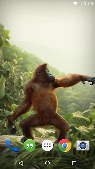 Kostenlos Live Wallpaper Tanzender Affe für Android Smartphones und Tablets downloaden.