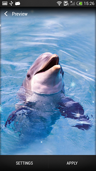 Download Tiere Live Wallpaper Delphin für Android kostenlos.