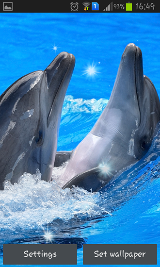 Download Tiere Live Wallpaper Delphine für Android kostenlos.