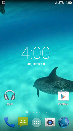 Download Live Wallpaper Delphine HD für Android 4.4.2 kostenlos.