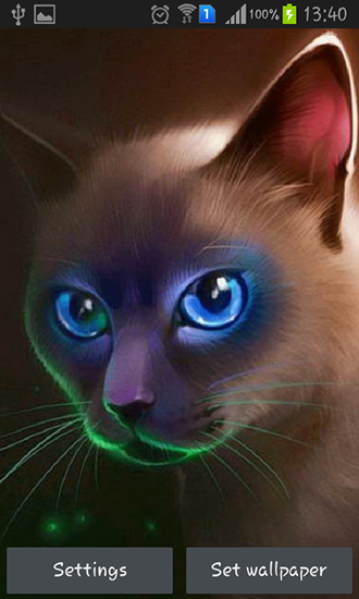 Download Tiere Live Wallpaper Ägyptische Katze für Android kostenlos.