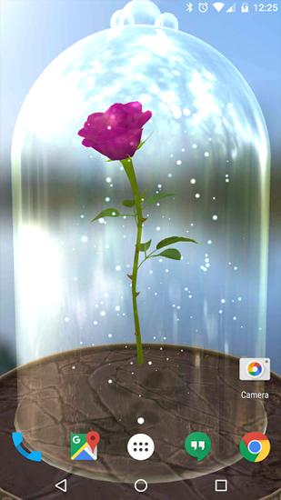 Android Hintergrundbilder Verzauberte Rose  kostenlos auf den Desktop herunterladen. 
