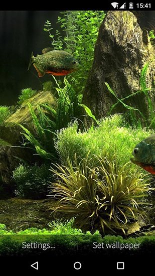 Download Aquarien Live Wallpaper Fisch Aquarium 3D für Android kostenlos.
