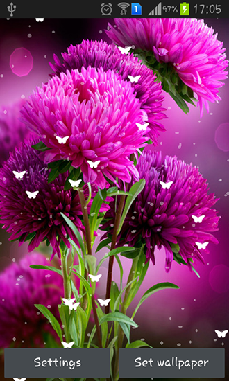Bilder downloaden blumen kostenlos kostenlose Blumenbilder