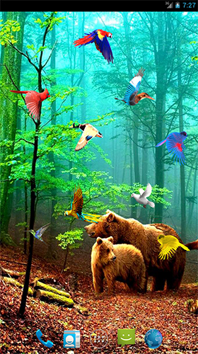Android Hintergrundbilder Waldvögel  kostenlos auf den Desktop herunterladen. 