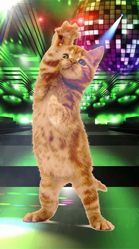 Android Hintergrundbilder Lustige Haustiere: Tänze und Gesang  kostenlos auf den Desktop herunterladen. 