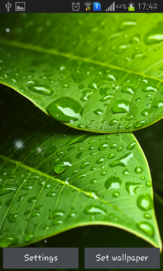 Download Pflanzen Live Wallpaper Grüne Blätter für Android kostenlos.