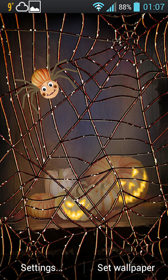 Download Tiere Live Wallpaper Halloween: Spinne für Android kostenlos.