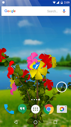 Android Hintergrundbilder Hibiskus 3D  kostenlos auf den Desktop herunterladen. 