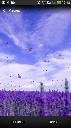 Android Hintergrundbilder Lavendel  kostenlos auf den Desktop herunterladen. 