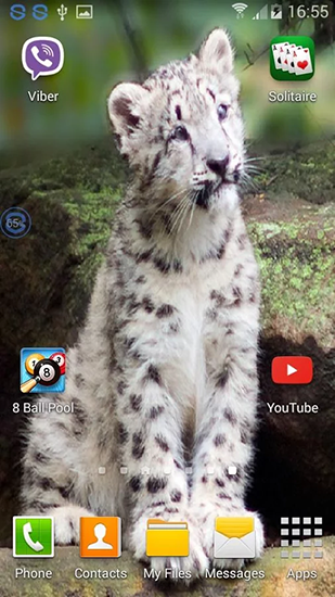 Kostenlos Live Wallpaper Leoparden: Schüttel und verändere für Android Smartphones und Tablets downloaden.