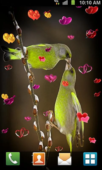 Download Tiere Live Wallpaper Liebe: Vögel für Android kostenlos.