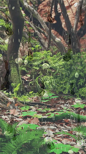 Android Hintergrundbilder Magischer Wald  kostenlos auf den Desktop herunterladen. 