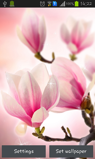 Download Blumen Live Wallpaper Magnolia für Android kostenlos.