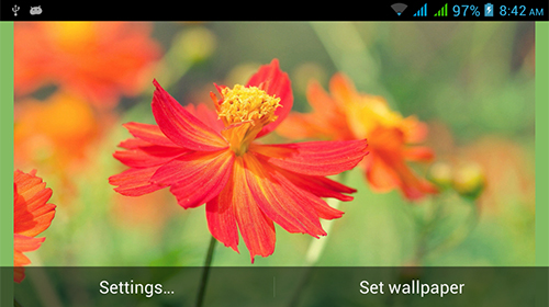 Android Hintergrundbilder Natur HD  kostenlos auf den Desktop herunterladen. 