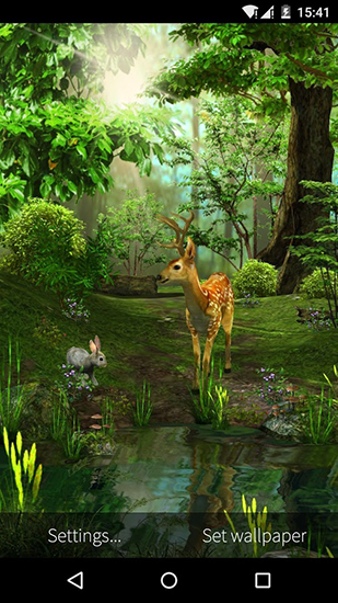 Download Tiere Live Wallpaper Natur 3D für Android kostenlos.