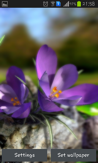 Download Blumen Live Wallpaper Lebende Natur: Frühlingsblumen 3D für Android kostenlos.
