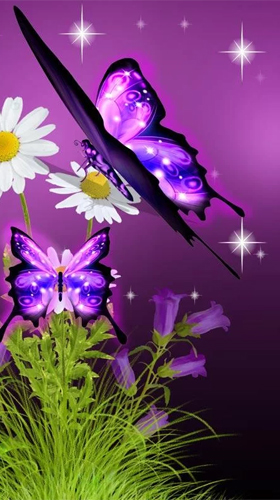 Android Hintergrundbilder Neon Schmetterling  kostenlos auf den Desktop herunterladen. 