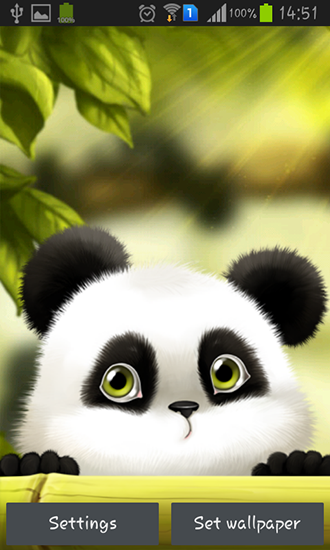 Download Interaktiv Live Wallpaper Panda für Android kostenlos.