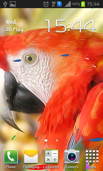 Download Tiere Live Wallpaper Papagai für Android kostenlos.