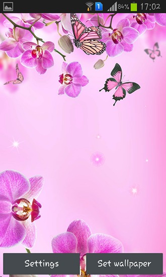 Kostenlos Live Wallpaper Pinke Blumen für Android Smartphones und Tablets downloaden.
