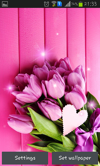 Download Blumen Live Wallpaper Pinke Tulpen für Android kostenlos.
