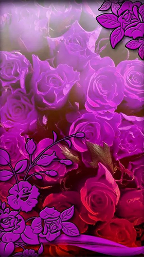 Android Hintergrundbilder Lila Blumen  kostenlos auf den Desktop herunterladen. 