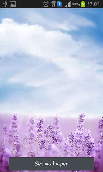 Download Landschaft Live Wallpaper Lila Lavendel für Android kostenlos.