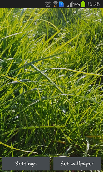 Download Pflanzen Live Wallpaper Echtes Gras für Android kostenlos.